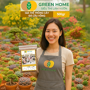 Đá Cầu Vồng Trồng Sen Đá GreenHome, Bao 500GR, Kích Rễ, Đậm Màu, Thoát Nước Tốt, Trộn Đất, Rải Bề Mặt Đều Tốt