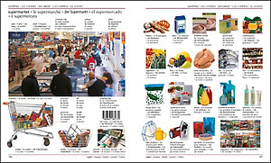5 Language Visual Dictionary: Over 6,500 Illustrated Terms, Labelled In English, French, German, Spanish And Italian
