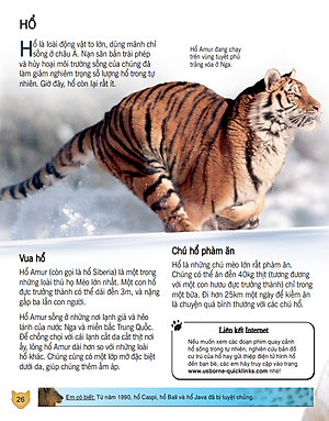 Sách Bách Khoa Tri Thức Về Khám Phá Thế Giới Cho Trẻ Em - Các Loài Mèo Lớn (Tái Bản 2018)