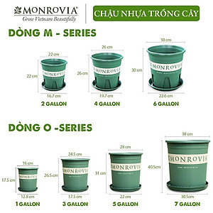 Chậu nhựa trồng cây MONROVIA để bàn, treo ban công, treo tường, ngoài trời, sân vườn, tiêu chuẩn Châu Âu