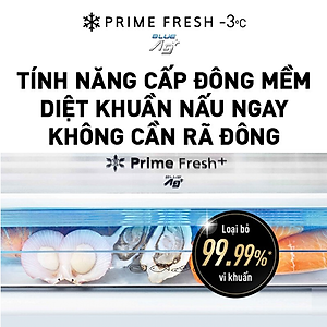 Tủ Lạnh Kháng Khuẩn Panasonic 251L NR-SP275CPSV - Cấp Đông Mềm - Siêu Tiết Kiệm - Ngăn Đá Dưới - Hàng chính hãng
