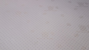 Nệm 100% cao su thiên nhiên Vạn Thành Standard nâng đỡ cơ thể, không gây dị ứng