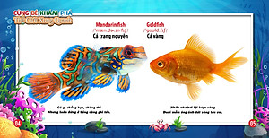 Sách Song Ngữ Anh - Việt CBKPTGXQ - Động Vật Dưới Nước