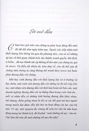 Chế Độ Ăn Bổ Trí Não Giảm Stress