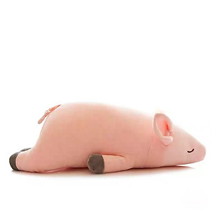 Gấu bông Heo Làm Biếng đang ngủ siêu Kute