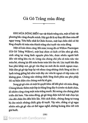 Sách Chuyện Kể Về Trăm Loài Chim