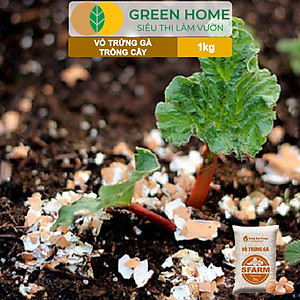 Vỏ Trứng Gà Trồng Cây Greenhome, Sfarm, Bao 1kg, Phân Bón Hữu Cơ, Ngăn Chặn Ốc Sên, Cải Tạo Đất, Chống Côn Trùng, Sâu Bọ