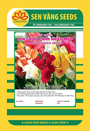 Hạt giống hoa Chuối Cảnh nhiều màu VTS146