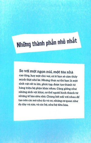 Sách Cơ Thể Người - Trong 30 Giây
