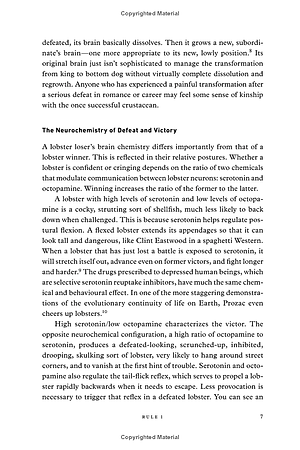 Sách 12 Rules For Life: An Antidote To Chaos