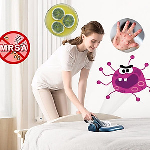 Máy hút bụi diệt khuẩn giường nệm Mamibot Uvlite100 - Hàng chính hãng