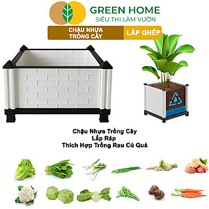 Chậu Trồng Cây Greenhome, Nhựa Nguyên Sinh Lắp Ghép, Nhiều Kích Thước, Trồng Hoa Hồng, Rau, Củ, Quả, Độ Bền 5 Năm