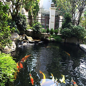 Đèn UV 9W Bóng Kép cao cấp, diệt tảo, diệt  khuẩn cho bể cá, hồ cá, hồ thủy sinh siêu sạch UV FORT DI (  Trắng)