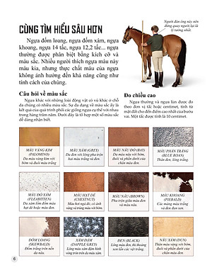 Sách Bách Khoa Tri Thức Về Khám Phá Thế Giới Cho Trẻ Em - Horses And Ponies - Loài Ngựa