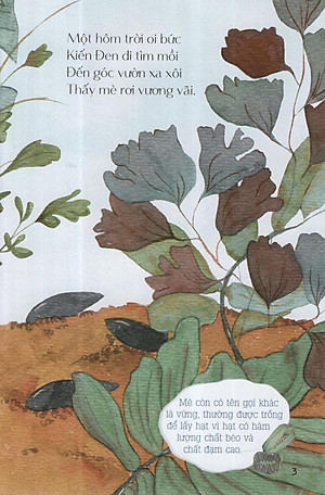 Sách Từ Những Hạt Mầm: Kiến Đen Tìm Mè