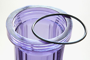 Vỏ - cốc ly lọc ren trong 10 inch phi 21