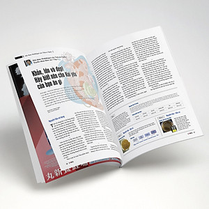 Cá Koi Vietnam - Tập 16