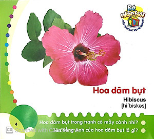 Sách Bé Nhận Biết Môi Trường Xung Quanh - Hoa