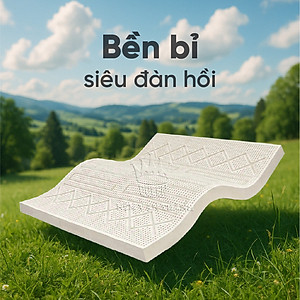 Nệm Cao Su Thiên Nhiên Vạn Thành SEGOVIA