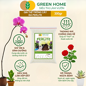 Đá Perlite Greenhome, Bao 300gr, Trồng Hồng, Thuỷ Canh, Giá Thể Trân Châu Giàu Khoáng Chất, Tăng Độ Tơi Xốp