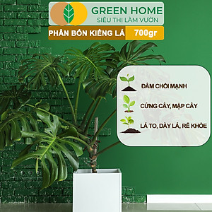 Phân Bón Cây Kiểng Lá Greenhome, Bao 700gr, Trầu Bà Monstera, Cây Nội Thất, Giúp Đâm Chồi Mạnh, Rễ Khoẻ, Lá To