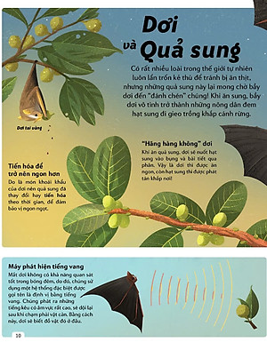 Sách Những Cặp Bài Trùng Trong Thế Giới Động Vật – Mối Quan Hệ Cộng Sinh Thú Vị Trong Thế Giới Động Thực Vật