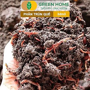 Phân Trùn Quế Bột Greenhome, Bao 3dm3, Nguyên Chất, Bổ Sung Dinh Dưỡng, Cải Tạo Đất