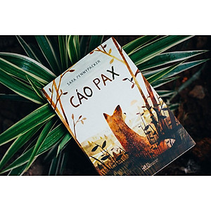 Sách - Cáo Pax (Nhã Nam)
