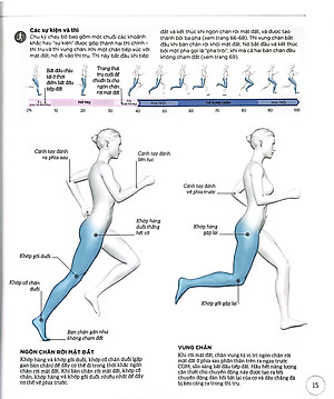 Khoa Học Về Chạy Bộ - Phân Tích Kỹ Thuật, Phòng Ngừa Chấn Thương, Đổi Mới Cách Tập Luyện - Bìa Cứng