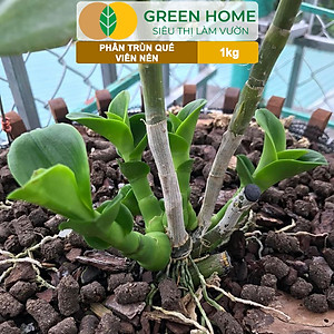 Phân Trùn Quế Viên Nén Greenhome, Lavamix, Bao 1kg, Dinh Dưỡng Hữu Cơ, Không Mùi, Tốt Cho Lan, Bonsai, Rau, Cây Ăn Trái