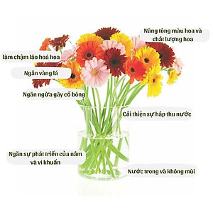 Gói Cắm Hoa Tươi Lâu Gấp 2 Lần Và 14 Ngày Không Thay Nước Loại 5gr Longlife (Bộ 50 gói)