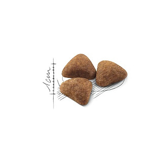 Royal Canin Indoor 27 Thức Ăn Hạt Mèo 1-7 Tuổi | Mèo Ít Vận Động [Dry cat food]