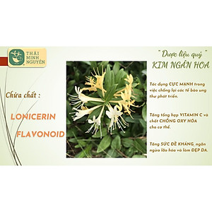 TRÀ KIM NGÂN HOA (100% NỤ HOA) TÚI 50G - THÁI MINH NGUYÊN. Hàng chuẩn chất lượng số 1 Việt Nam.