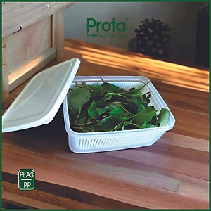 Combo 2 Hộp Thực Phẩm Prota PT961