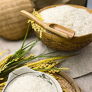 Gạo ST25 Hoa Lúa túi 5kg - Dẻo nhiều, mềm cơm, hương thơm đặc trưng