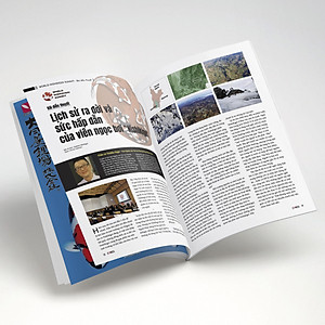 Cá Koi Vietnam - Tập 16