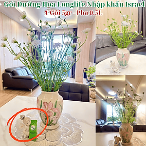  (COMBO 30 GÓI) GÓI DƯỠNG HOA TƯƠI LONGLIFE CỦA ISRAEL GIỮ HOA TƯƠI LÂU GẤP 2 LẦN VÀ 14 NGÀY KHÔNG THAY NƯỚC MỚI