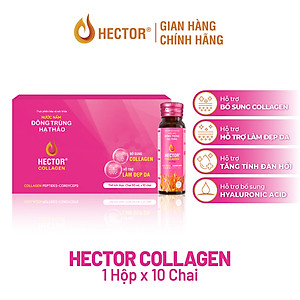 Bộ 2 hộp nước nấm Đông trùng hạ thảo Hector Sâm và Hector Collagen ( 20x50ml)