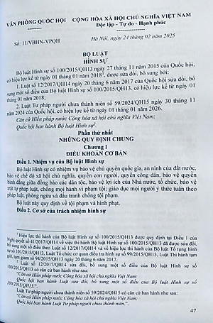 Bộ Luật Hình sự  - Bộ Luật Tố Tụng Hình Sự ( Sửa đổi, bổ sung năm 2025 )