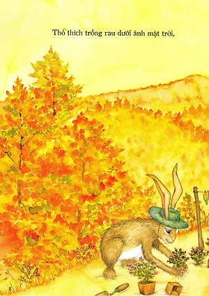 Sách Nhà Của Ai Cao Hơn?