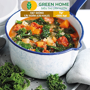 Hạt Giống Cải Xoăn Kale Greenhome, Gói 5g, Dễ Trồng Quanh Năm, Nảy Mầm Cao, Thu Hoạch Nhanh, Năng Suất Cao R16