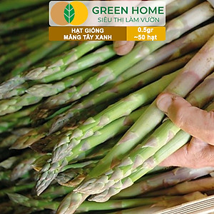 Hạt Giống Măng Tây Xanh Greenhome, Gói 0.5g~50 hạt, Dễ Trồng Quanh Năm, Nảy Mầm Cao, Thu Hoạch Nhanh, Năng Suất Cao T19
