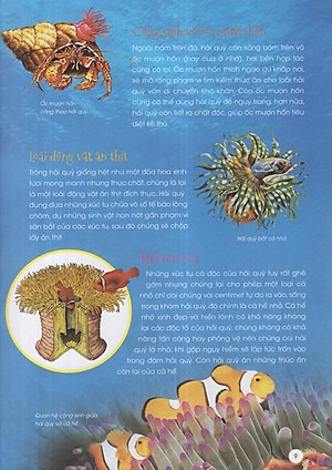 Sách Động Vật Xinh Đẹp