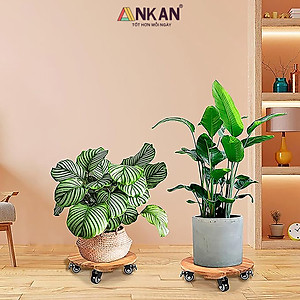 Đế Kê Chậu Cây Có Bánh Xe ANKAN, R30cm Làm Giá Đỡ Kệ Hoa Cây Cảnh, Màu Vàng Nắng, Chịu Tải 150Kg