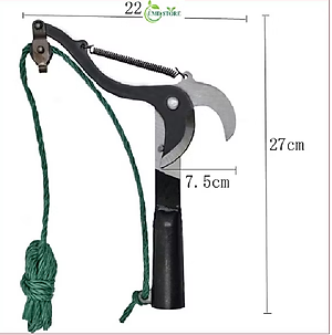 Đầu kéo cắt tỉa cành cây trên cao 