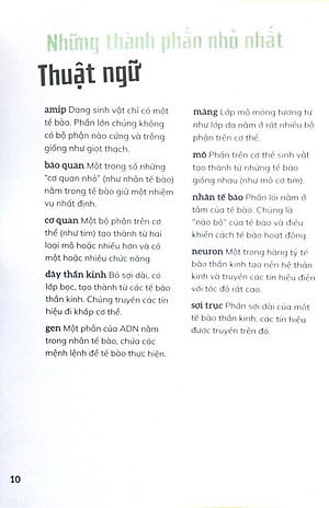 Sách Cơ Thể Người - Trong 30 Giây