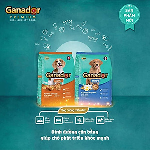 Thức ăn cho chó trưởng thành Ganador vị gà nướng - Adult Roasted Chicken Flavor Combo 5 gói 400gr/gói