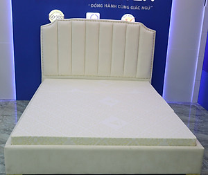 Đệm Bông Ép Aroma Fiber