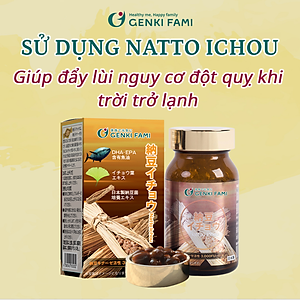 Viên Uống Phòng Ngừa Đột Quỵ, Bổ Não Nattokinase 3000FU Natto Ichou Genki Fami Nhật Bản