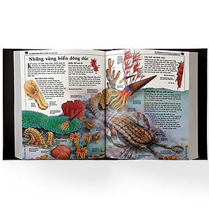 Sách Bách Khoa Lịch Sử Thế Giới - Tái Bản